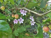 DSCF5057.webp