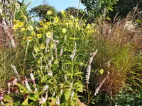 DSCF5060.webp