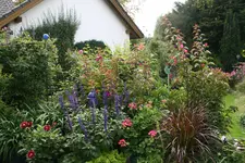Terasse     3821.webp