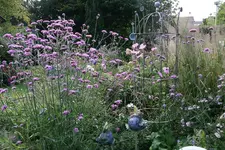 Sept.    0721.webp