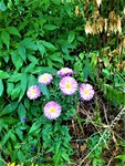 IMG_20210917_124323_1.jpg