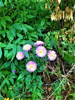 IMG_20210917_124323_1.webp