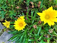 IMG_20210910_155722_1.webp