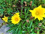 IMG_20210910_155722_1.jpg