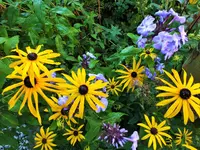 DSCF5025 (2).webp