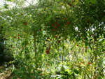 DSC02058.JPG