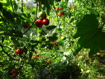 DSC02060.JPG