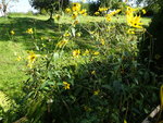 DSC02063.JPG