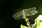 DSC05626.JPG