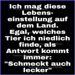 40C6AAF6-556A-4FF0-AF7F-5D50DA4DFBCB.webp