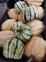 20210925_144729.webp