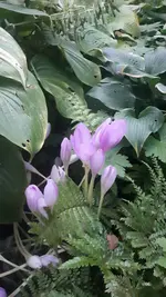 20210924_185905.webp