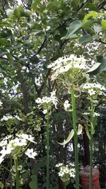 20210925_101229.webp