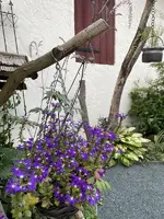 75045523-B8E4-44C2-92BE-E9FF7E917D0A_1_201_a.webp