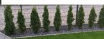 hecke.jpg
