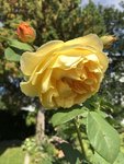 FA7749D0-6FCB-46C0-AD34-A7F48A8CE4C9.jpeg