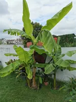 IMG_20210911_124153.webp