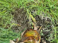 IMG_20210911_124209.webp