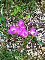 IMG_20210925_144625.webp