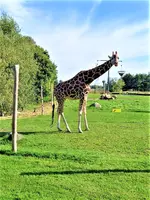 IMG_20200913_154254_3.webp