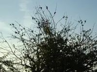DSC02066.webp