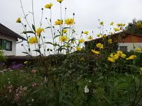 DSC02071.webp