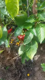 20210928_122835.webp
