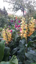 20210928_171100.webp