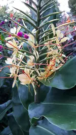 20210926_185451.webp