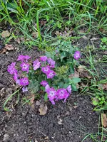 20210928_183007.webp