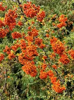 IMG_20210928_163056.webp