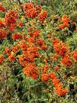 IMG_20210928_163056.jpg