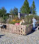 IMG_20210926_202737.jpg