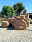 IMG_20210926_203658.jpg