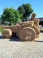 IMG_20210926_203658.webp