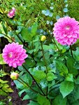 IMG_20210925_104159_1.jpg