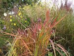 DSCF5084.JPG