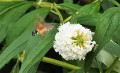 DSCF5073 (2).webp