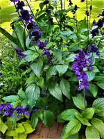 IMG_20210907_140111_2.webp