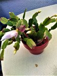 IMG_20210930_105224.jpg