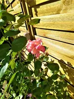 IMG_20210930_105438_2.webp