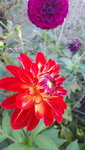 20210930_171023.jpg