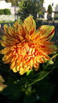 20210930_171013.jpg
