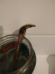 IMG_20210930_200214.jpg
