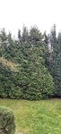 20211001_100141.jpg