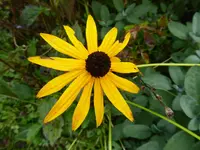 P1050201.JPG