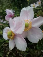 IMG_20210930_113804.webp