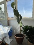 IMG_2955.jpeg IMG_2955.jpeg