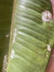 IMG_2944.jpeg