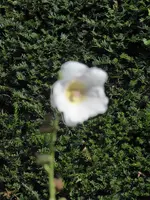 P1050229.webp